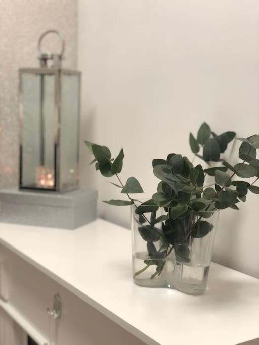 Snowcrystal Home With Jacuzzi And Sauna Rovaniemi Esterno foto